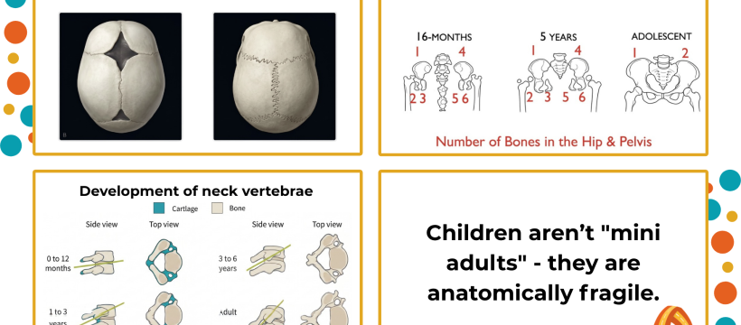 Comparison of adult and child skeletal structures showing head-to-body ratios