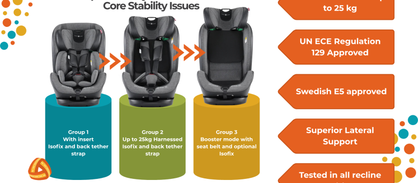 Car Seats for Disabled Children